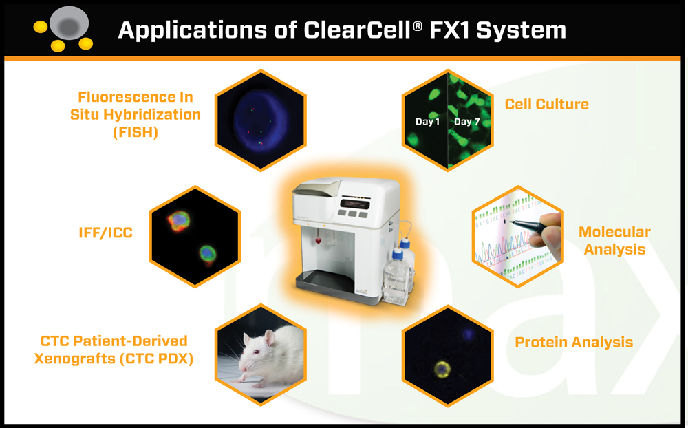 clearbridge clearcell