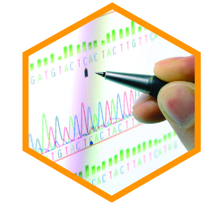 clearcell molecular analysis