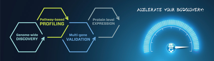 genomax gene expression and RNA sequencing service