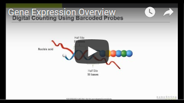 nSolver Gene Expression Overview