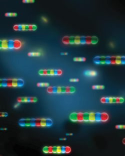 nCounter® Gene Expression CodeSets