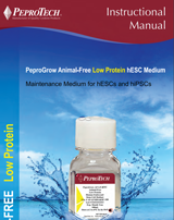 peprotehc hESC