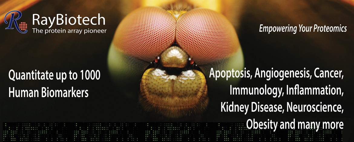 G-Series: Glass Slide Antibody Arrays