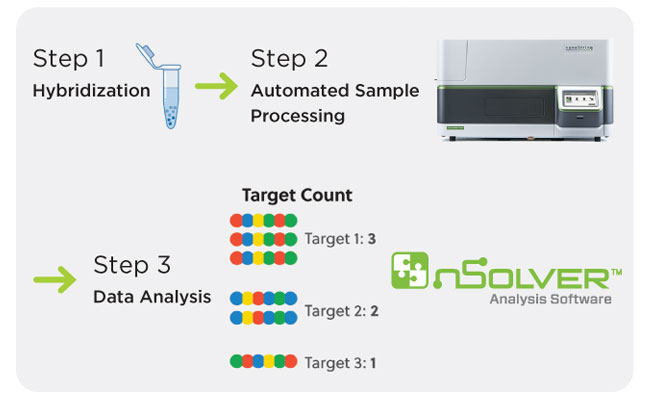 nCounter Vantage Gene Fusion Panel